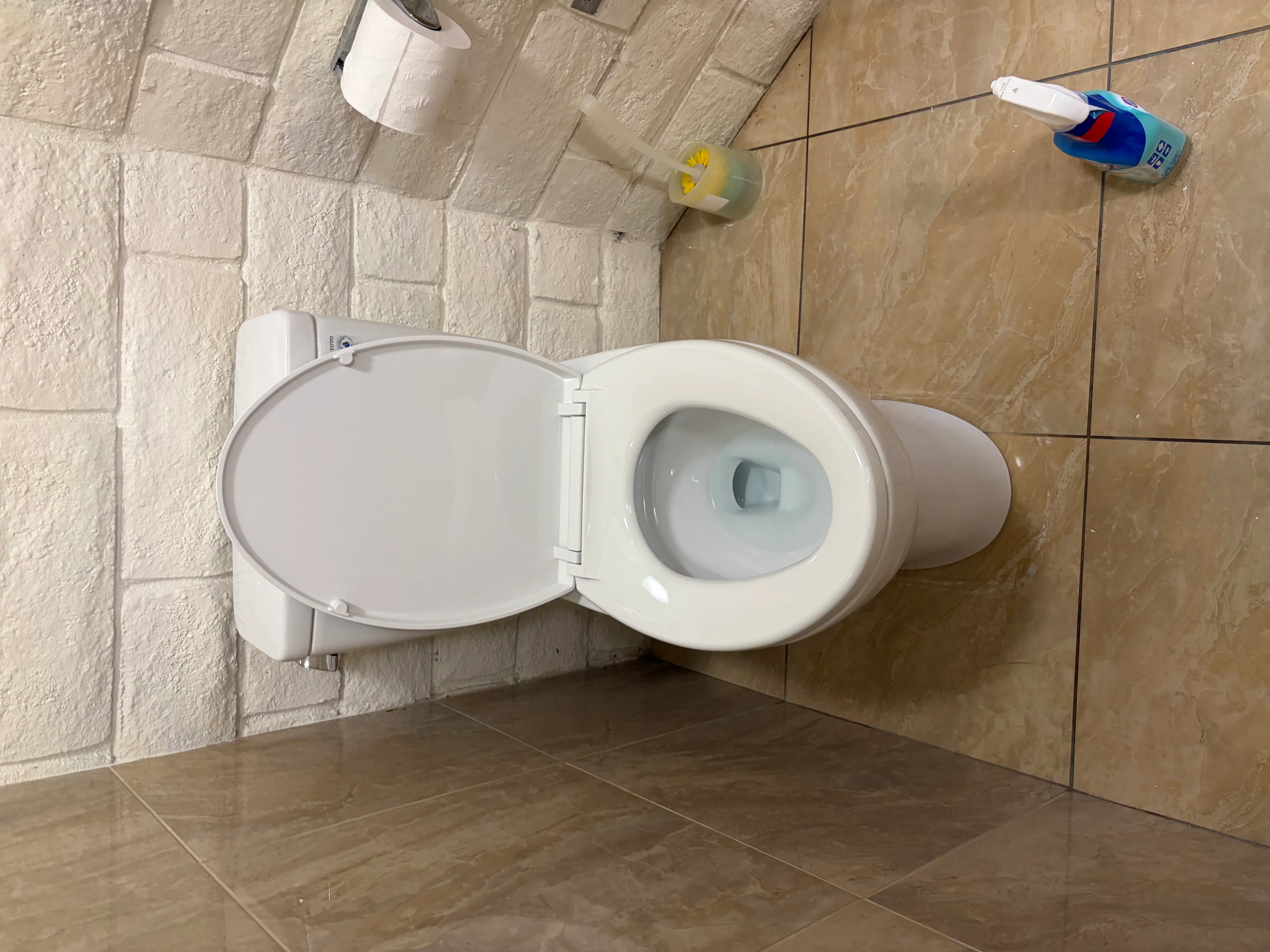 White porcelain toilet with soft-close seat installed in tiled bathroom with supply line